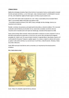 Evoluția teritorială a Municipiului Arad - Pagina 3