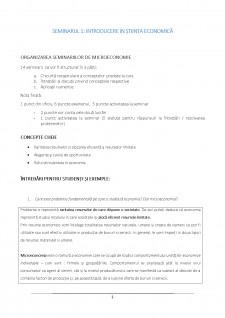 Microeconomie - Suport de curs și seminar - Pagina 1