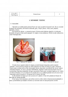 Depozitarea frigorifică a căpșunilor - Pagina 2