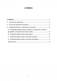 Cheltuieli publice pentru obiective și acțiuni economice - Pagina 2