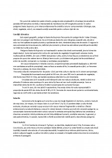 Impactul politicilor agricole asupra calității mediului în Stațiunea de Cercetare-Dezvoltare pentru Viticultură și Vinificație-Bujoru (Galați) - Pagina 4