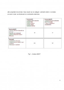 Plan de afaceri - Cabinet Veterinar - Pagina 4
