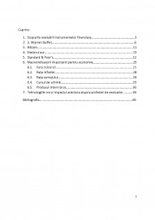 Evaluarea instrumentelor financiare - Pagina 2