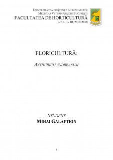 Floricultură - Anthurium Andreanum - Pagina 1