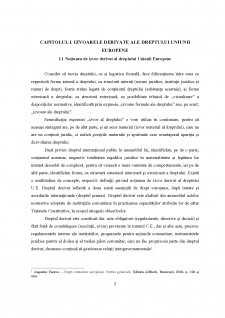 Regulamentul - act normativ european - Pagina 2