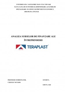 Analiza surselor de finanțare ale întreprinderii Teraplast - Pagina 1