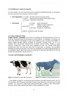 Obținerea smântânii dulci din lapte de vacă - Pagina 4