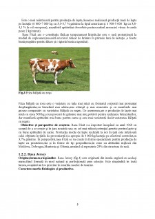 Obținerea smântânii dulci din lapte de vacă - Pagina 5