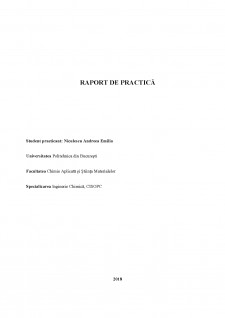 Raport de practică - Rompharm Company SRL - Pagina 1