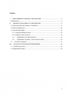 Raport practică - Moldtelecom SA - Pagina 2
