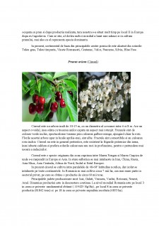 Descrierea principalelor plante cultivate din Familia Rosaceae - Pagina 5