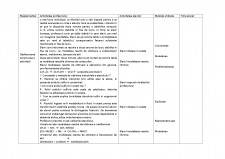 Proiect de lecție - compuși organici cu funcțiuni - Pagina 3