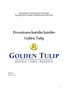 Prezentarea lanțului hotelier Golden Tulip - Pagina 1