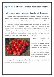Plan de afaceri - Cultivarea tomatelor prin răsad în câmp deschis - Pagina 4