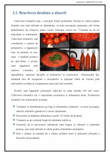 Plan de afaceri - Cultivarea tomatelor prin răsad în câmp deschis - Pagina 5