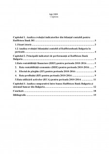 Analiza evoluției indicatorilor din bilanțul contabil pentru Raiffeisen Bank Bulgaria - Pagina 2