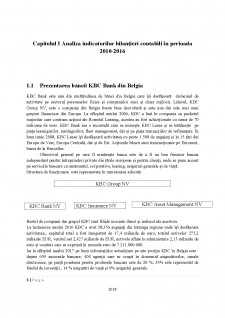 Analiza evoluției indicatorilor de peformanta la o bancă din Belgia - Pagina 3