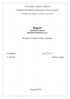 Raport limbaje formale și automate 1 - Pagina 1