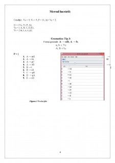 Raport limbaje formale și automate 1 - Pagina 4