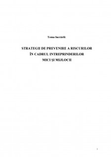 Strategii de prevenire a riscurilor în cadrul intreprinderilor mici și mijlocii - Pagina 2