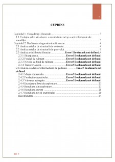 Diagnosticul financiar al SC Energetica Electrica SA - Pagina 2