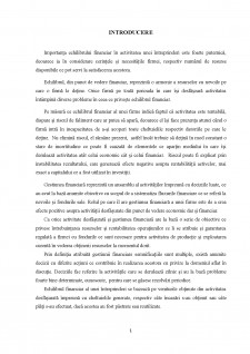 Asigurarea echilibrului firmei și riscul de faliment al acesteia (pe exemplul SC Boromir Prod SA) - Pagina 4