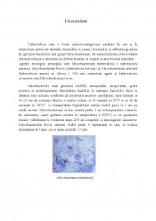Manifestările clinice și anatomo-patologice ale zoonozelor la animale și om - Tuberculoză - Pagina 3