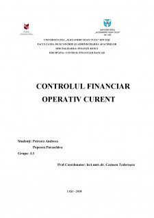 Controlul financiar operativ curent - Pagina 1