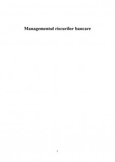Managementul riscurilor bancare - Pagina 2