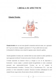 Glanda tiroidă - Pagina 1