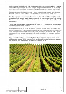 Proiectarea secției de procesare a strugurilor și obținerea vinurilor de consum current din soiurile - Mușcat Ottonel-Traminer - Pagina 5