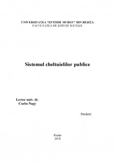 Sistemul cheltuielilor publice - Pagina 1