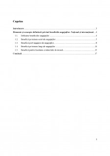 Politici și tratamente contabile privind beneficiile angajaților (IAS 19) - Pagina 2
