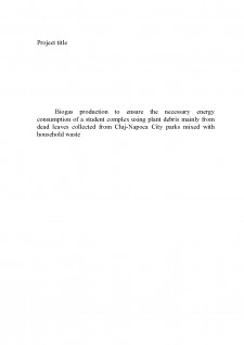 Biogas - energy efficency - Pagina 2