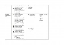Caracteristici ale instituțiilor și organizațiilor sociale - familia, scoala, biserică - Pagina 3