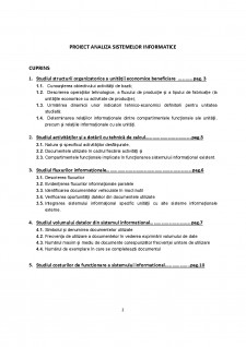 Analiza sistemelor informatice - Pagina 2