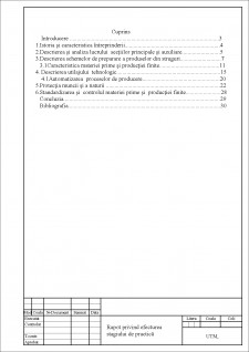 Rapot privind efecturea stagiului de practică - Pagina 1