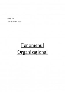Fenomen organizațional - Pagina 1