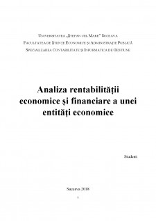 Analiza rentabilității economice și financiare a unei entități economice - Pagina 1