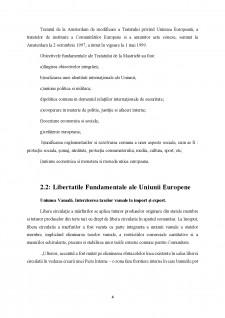 Libera circulatie a marfurilor în Uniunea Europeană - Pagina 5
