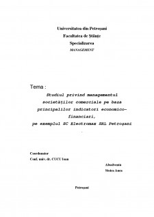 Studiul privind managementul societăților comerciale pe baza principalilor indicatori economicofinanciari, pe exemplul SC Electromax SRL Petroșani - Pagina 2