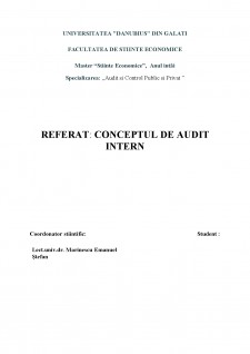 Conceptul de audit intern - Pagina 1