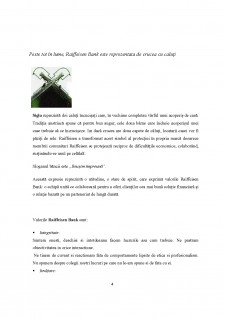 Practică Reiffeisen Bank - Pagina 4