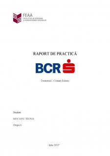 Practică BCR - Pagina 1