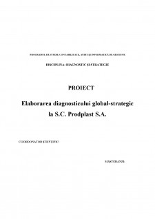 Elaborarea diagnosticului global-strategic la SC Prodplast SA - Pagina 1