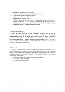 Plan de afacere SC Panibus SRL - Pagina 4