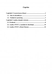Analiza SWOT la produsul Danone - Pagina 2