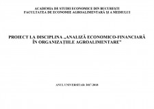 Analiză economico-financiară în organizațiile agroalimentare - Pagina 1