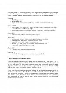 Conținutul material al Protocolului 14 și al Protocolului 14 bis la Convenția Europeană a Drepturilor Omului - Pagina 3