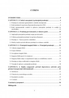 Aplicarea principiului prudenței în contabilitate - Pagina 2